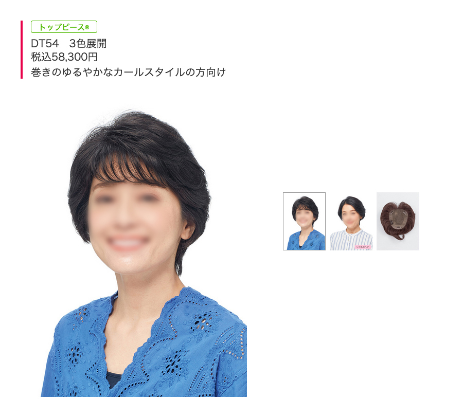 デザイナーズウィッグ(トップピース)